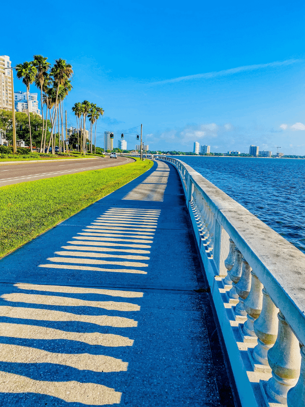 Christopher Roach Tampa City cycling